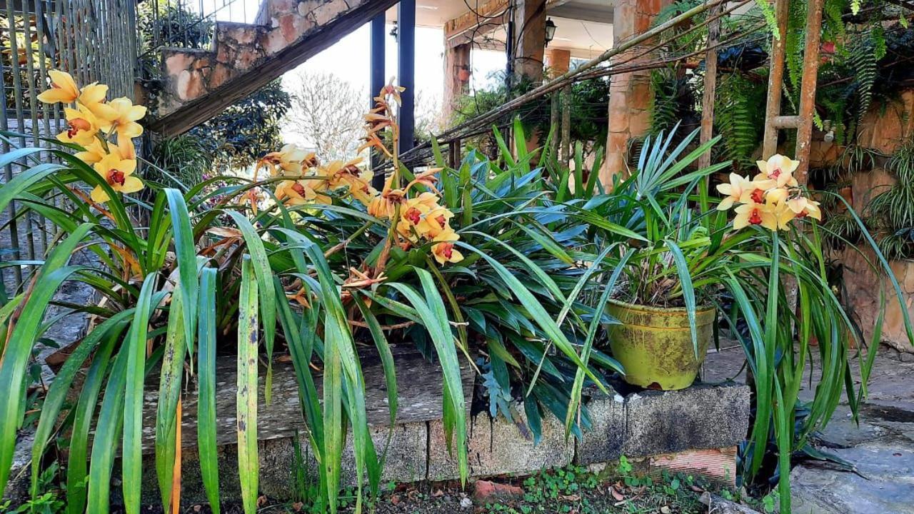 Pousada Canto Das Corujas เซาฮอเก ภายนอก รูปภาพ